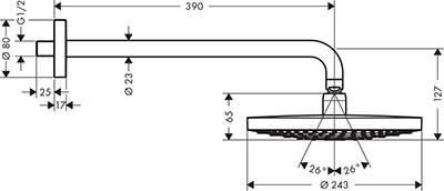 верхний душ Hansgrohe 26466000